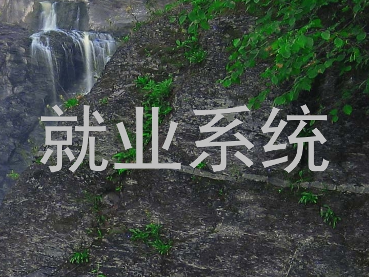 就业系统