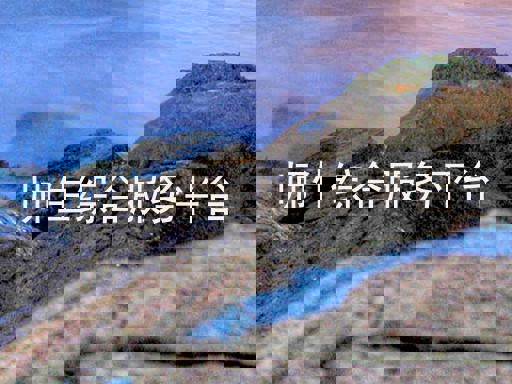 师生综合服务平台