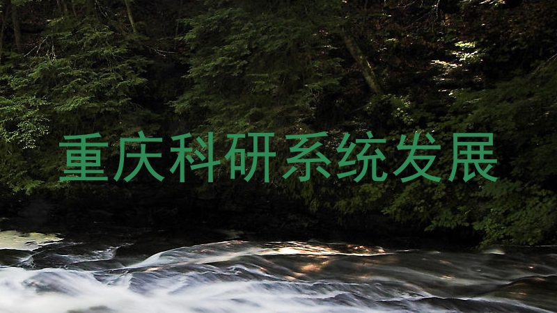 重庆科研系统发展