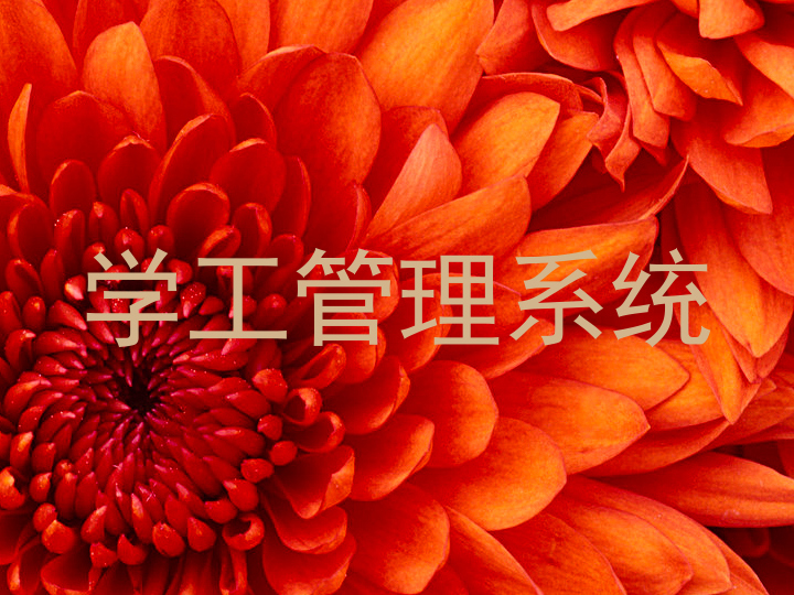 学工管理系统