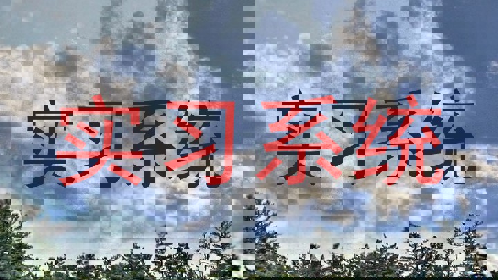 实习系统