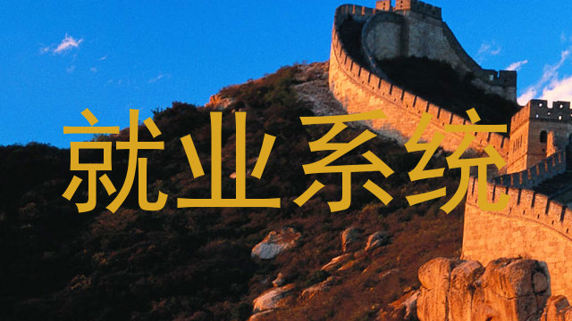 就业系统