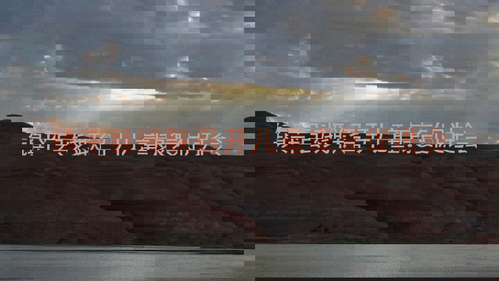 镇平县残联召开儿童康复促进会