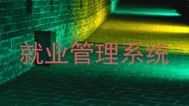 就业管理系统