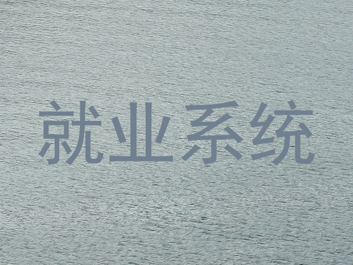 就业系统