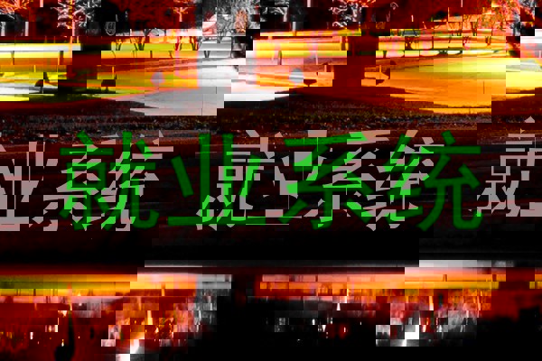 就业系统