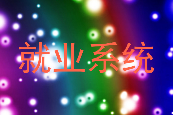 就业系统