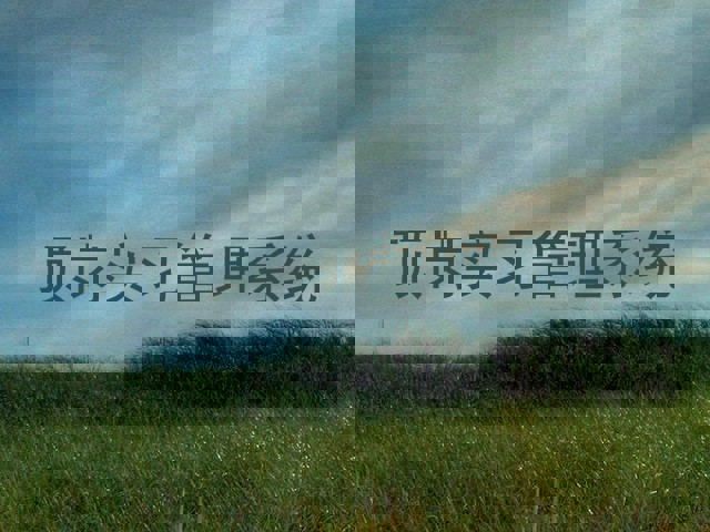 顶岗实习管理系统