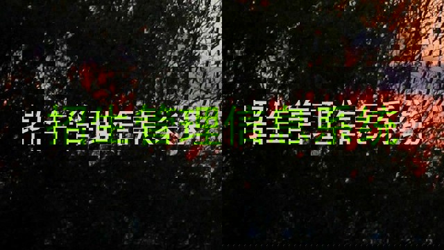 招生管理信息系统