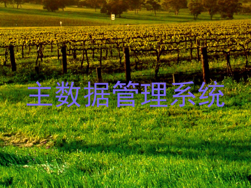主数据管理系统