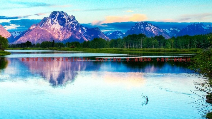 长春市学工管理、学工管理系统优化、实践学工管理、学工管理策略、长春学工管理现状