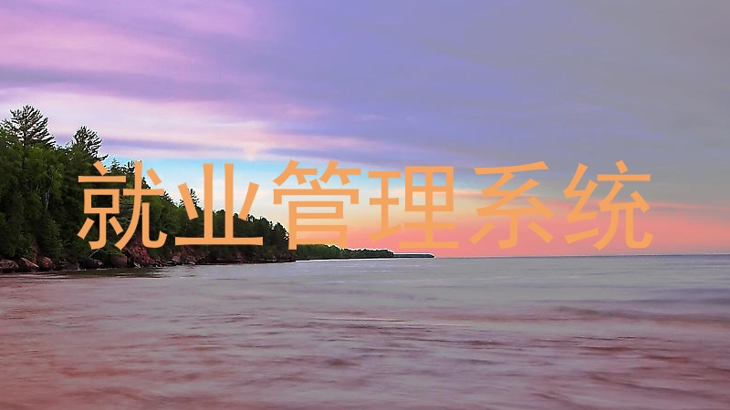 就业管理系统