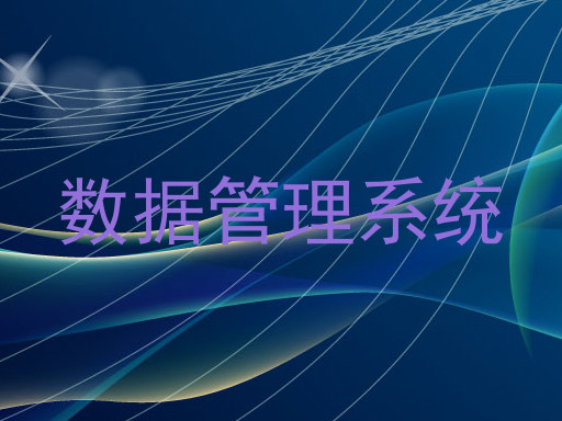 数据管理系统