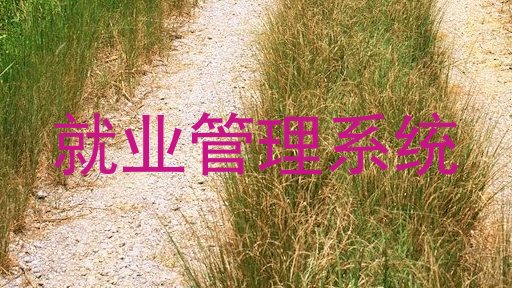 就业管理系统