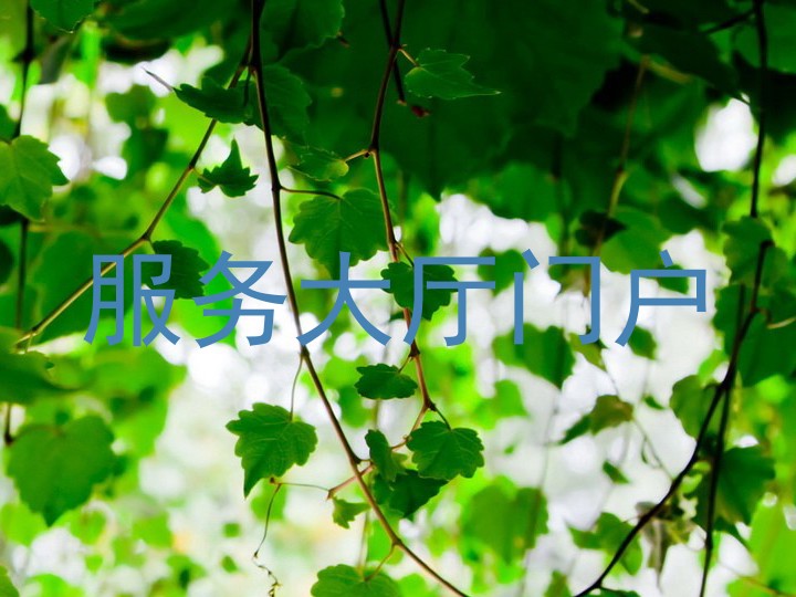 服务大厅门户