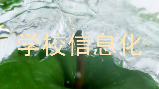 学校信息化