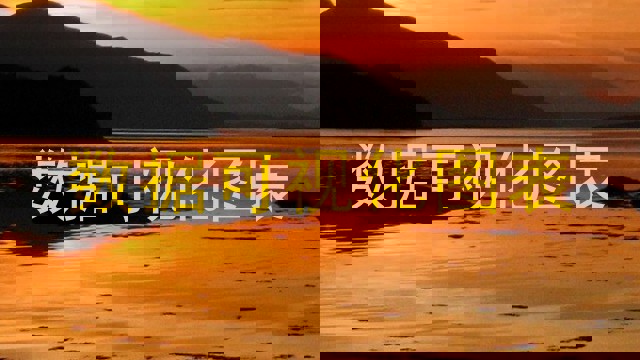 数据可视化图表