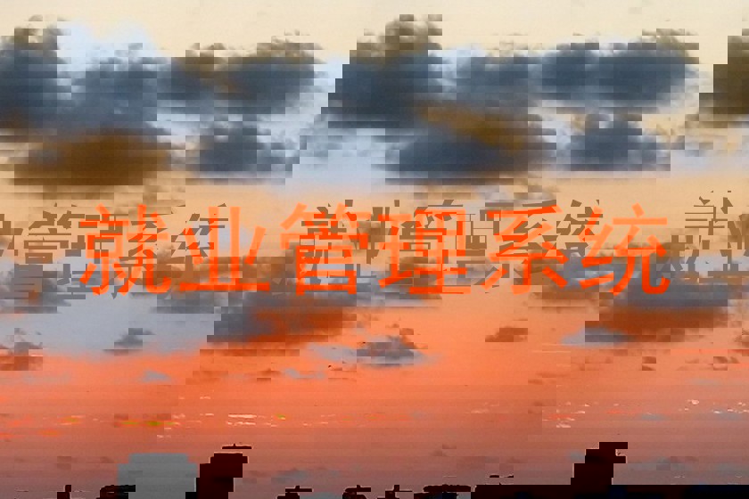 就业管理系统