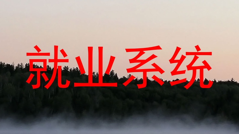 就业系统