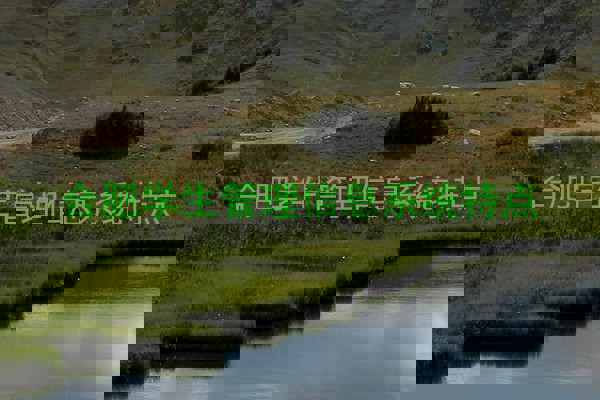 合肥学生管理信息系统特点