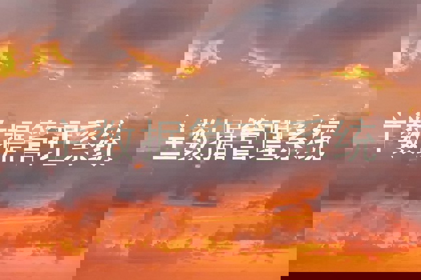 主数据管理系统
