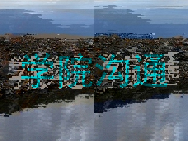 学院沟通