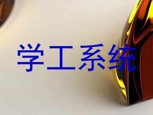 学工系统