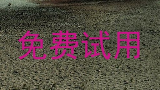 免费试用
