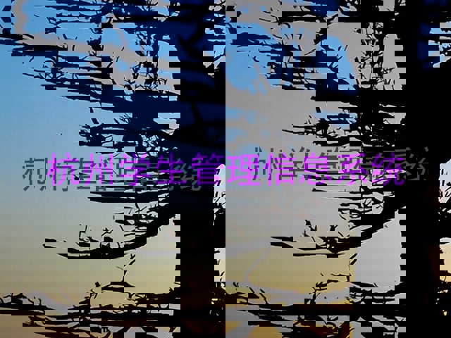 杭州学生管理信息系统