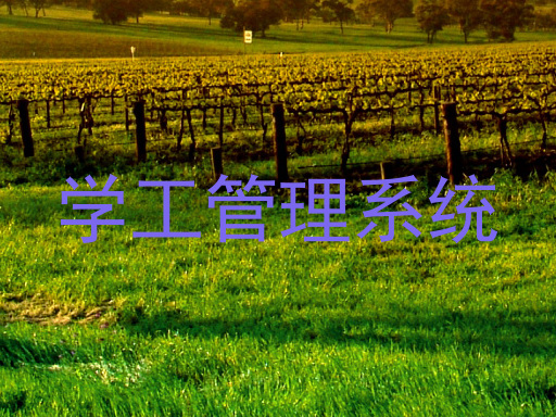 贵州学生管理信息系统