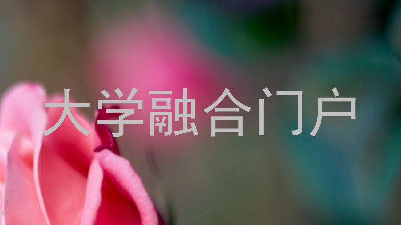 大学融合门户