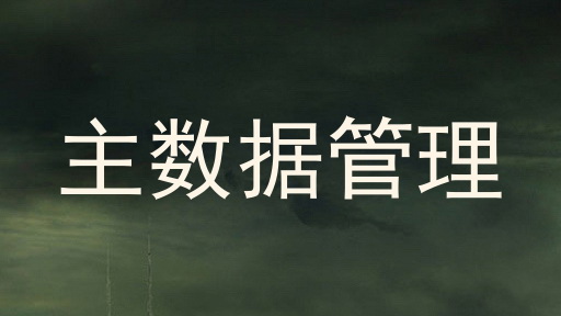 主数据管理