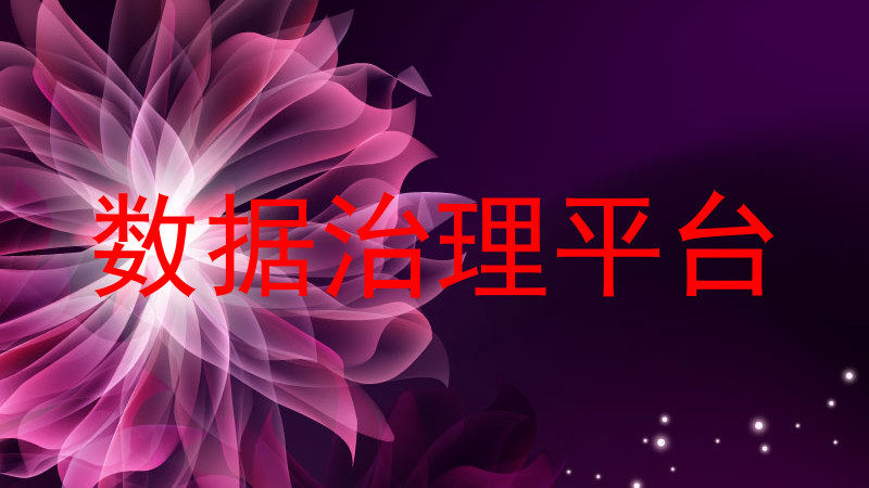 数据治理平台