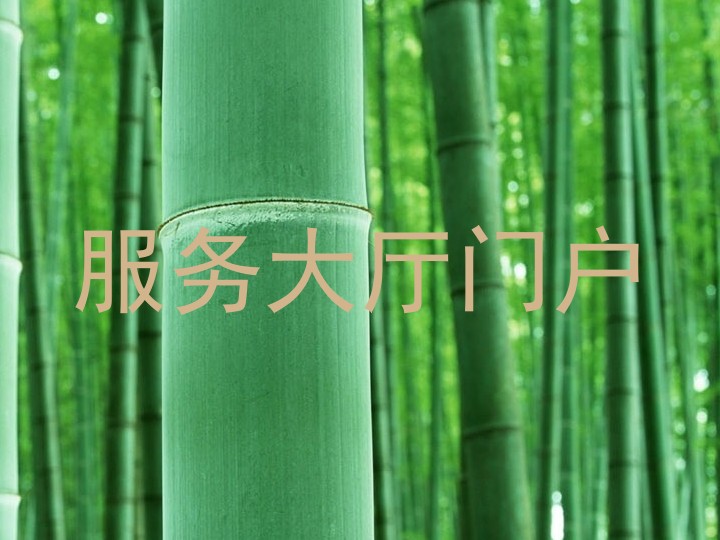 服务大厅门户