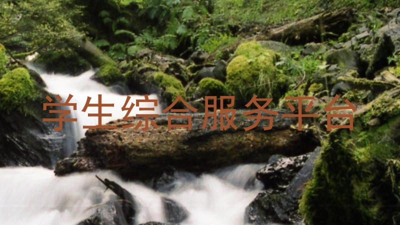 学生综合服务平台