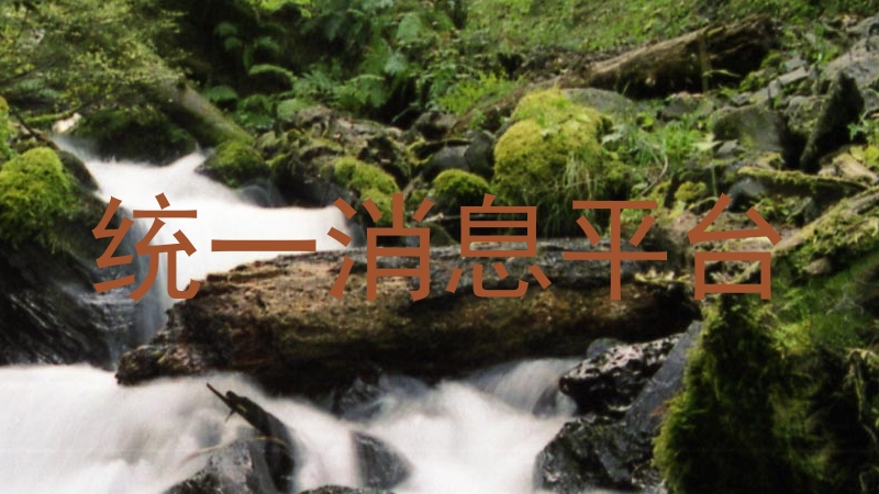 统一消息平台
