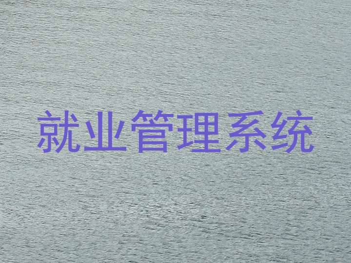 就业管理系统