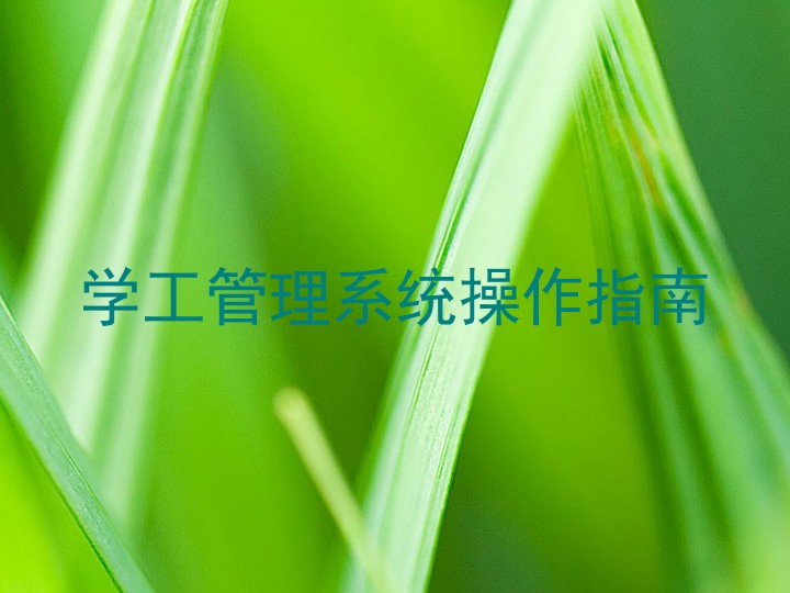 学工管理系统操作指南