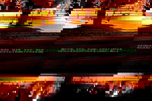 西藏科研信息管理、高原科研效率、科研成果管理、信息系统应用、西藏科研发展