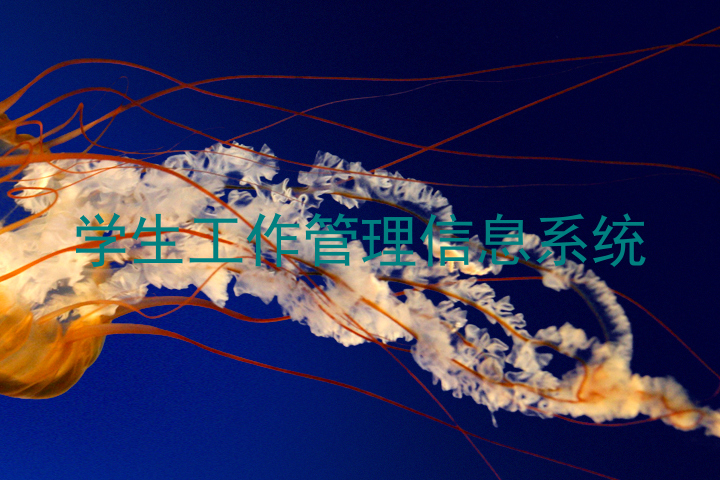 学生工作管理信息系统