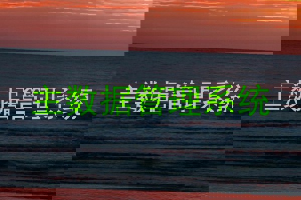 主数据管理系统