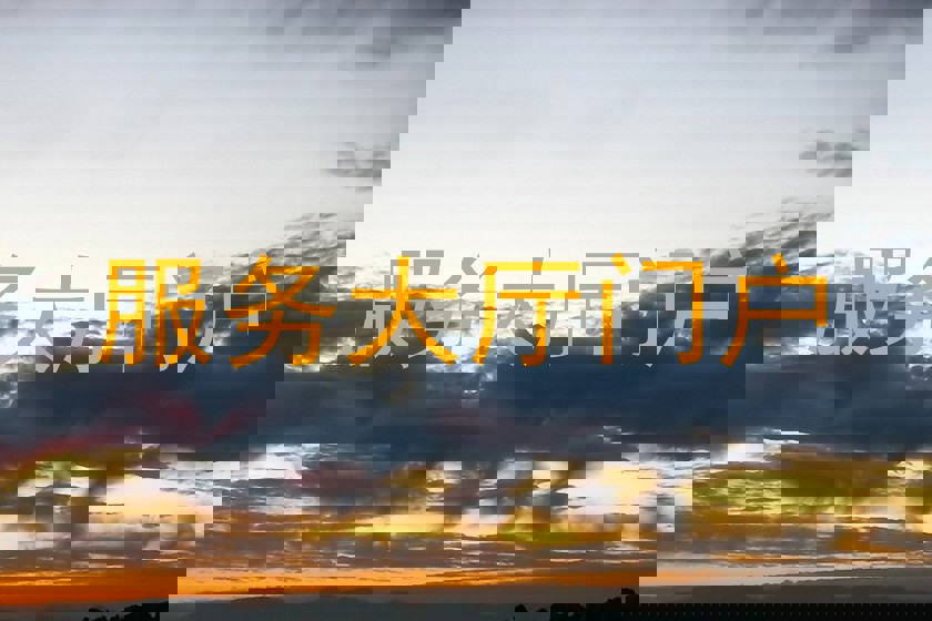服務(wù)大廳門戶