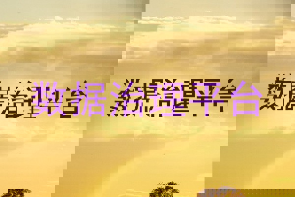 数据治理平台
