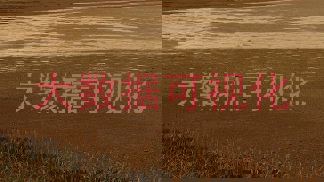 大数据可视化