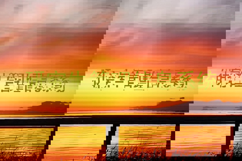 研究生管理信息系统