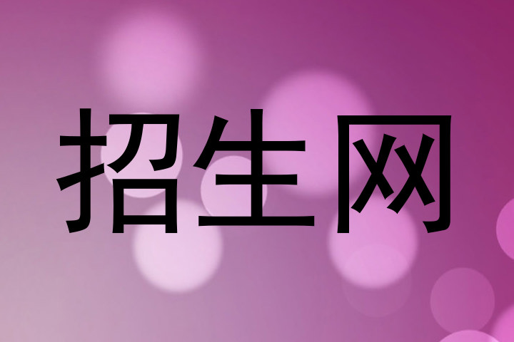 招生网