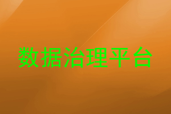 数据治理平台