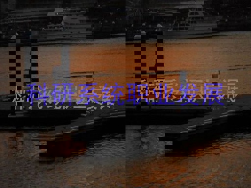 科研系统职业发展