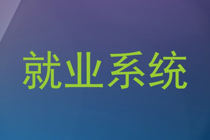 就业系统