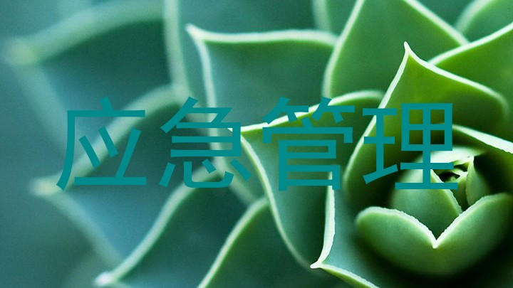 应急管理